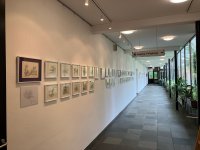 Ausstellung Rottonara Gesamt