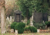 Der jüdische Friedhof in St. Pölten, Foto: Injoest