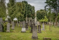 Neuer jüdischer Friedhof St. Pölten © Erwin Hayden-Hohmann Neuer jüdischer Friedhof St. Pölten © Erwin Hayden-Hohmann