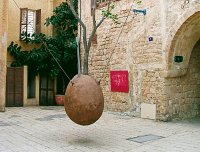 "Luftwurzeln". Foto von Philipp Mettauer, aufgenommen in Tel Aviv/Yaffo "Luftwurzeln". Foto von Philipp Mettauer, aufgenommen in Tel Aviv/Yaffo