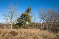 Steinbruch Roggendorg 2022. Foto: Alexander Steinbruch Roggendorf 2022. Foto: Alexander Schlager/FH St. Pölten Steinbruch Roggendorg 2022. Foto: Alexander Steinbruch Roggendorf 2022. Foto: Alexander Schlager/FH St. Pölten