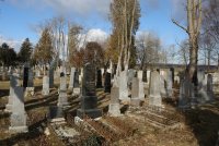 Neuer jüdischer Friedhof St. Pölten © Wolfgang Kuhnert